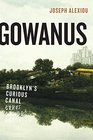 Gowanus Brooklyn's Curious Canal