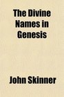 The Divine Names in Genesis