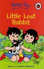 Little Lost Rabbit