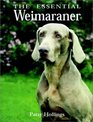The Essential Weimaraner