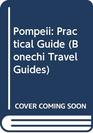 Pompeii Practical Guide
