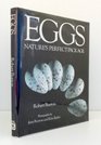 Eggs Nature's Perfect Miracle of Packaging
