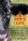 A Cow's Life : The Surprising History of Cattle, and How the Black Angus Came to Be Home on the Range