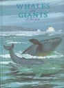 Whales and Giants of the Sea