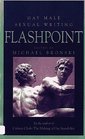 Flashpoint Gay Male Sexual Writing