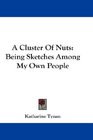 A Cluster Of Nuts Being Sketches Among My Own People