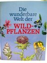 Die Wunderbare Welt Der Wildpflanzen