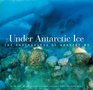 Under Antarctic Ice The Photographs of Norbert Wu