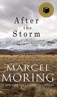 After the Storm A Novel
