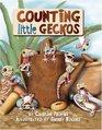 Counting Little Geckos