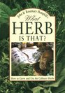 What Herb Is That How to Grow and Use the Culinary Herbs