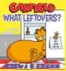 Garfield What Leftovers His 71st Book