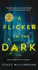 A Flicker in the Dark: A Novel