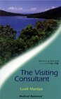 The Visiting Consultant