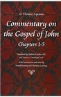 Commentary on the Gospel of John Books 1321