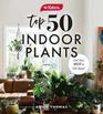 Yates Top 50 Indoor Plants And How Not To Kill Them