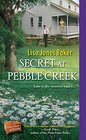 Secret at Pebble Creek (Hope Chest of Dreams, Bk 4)