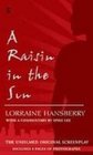 A Raisin in the Sun The Unfilmed Original Screenplay