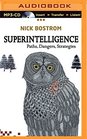 Superintelligence Paths Dangers Strategies