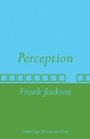 Perception A representative theory