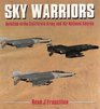 Sky Warriors Aviation in the California Army and Air National Guards