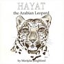 Hayat the Arabian Leopard