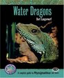 Water Dragons A Complete Guide to Physignathus and More