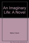 An Imaginary Life A Novel