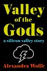 Valley of the Gods A Silicon Valley Story