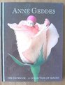 Cal 96 Anne Geddes Datebook A Collection of Images