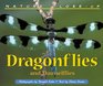 Nature CloseUp  Dragonflies and Damselflies