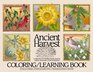 Ancient Harvest A Selection of Favorite Plants Used by Native Americans of the Southwest