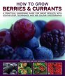 How to Grow Berries  Currants