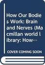 How Our Bodies Work Brain and Nerves