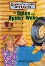 Of Spies and Spider Webs