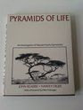 Pyramids of Life An Investigation of Nature's Fearful Symmetry