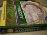 Algebra 1 Teacher's Edition Prentice Hall Mathematics