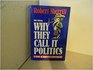 Why They Call It Politics A Guide to America's Government