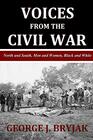 Voices from the Civil War