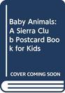 Baby Animals A Sierra Club Postcard Book for Kids