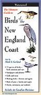 Birds of the New England Coast: Folding Guide (Foldingguides)