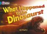 What Happened to the Dinosaurs Band 13/Topaz Phase 5 Bk 10