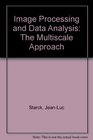 Image Processing and Data Analysis  The Multiscale Approach