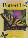 Discover Butterflies