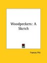Woodpeckers A Sketch