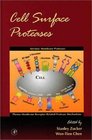 Cell Surface Proteases