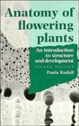 Anatomy of Flowering Plants  An Introduction to Structure and Developments