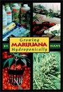 Growing Marijuana Hydroponically