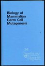 Biology of Mammalian Germ Cell Mutagenesis