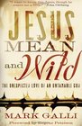 Jesus Mean and Wild The Unexpected Love of an Untamable God
